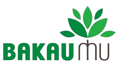 Sign In | Bakaumu